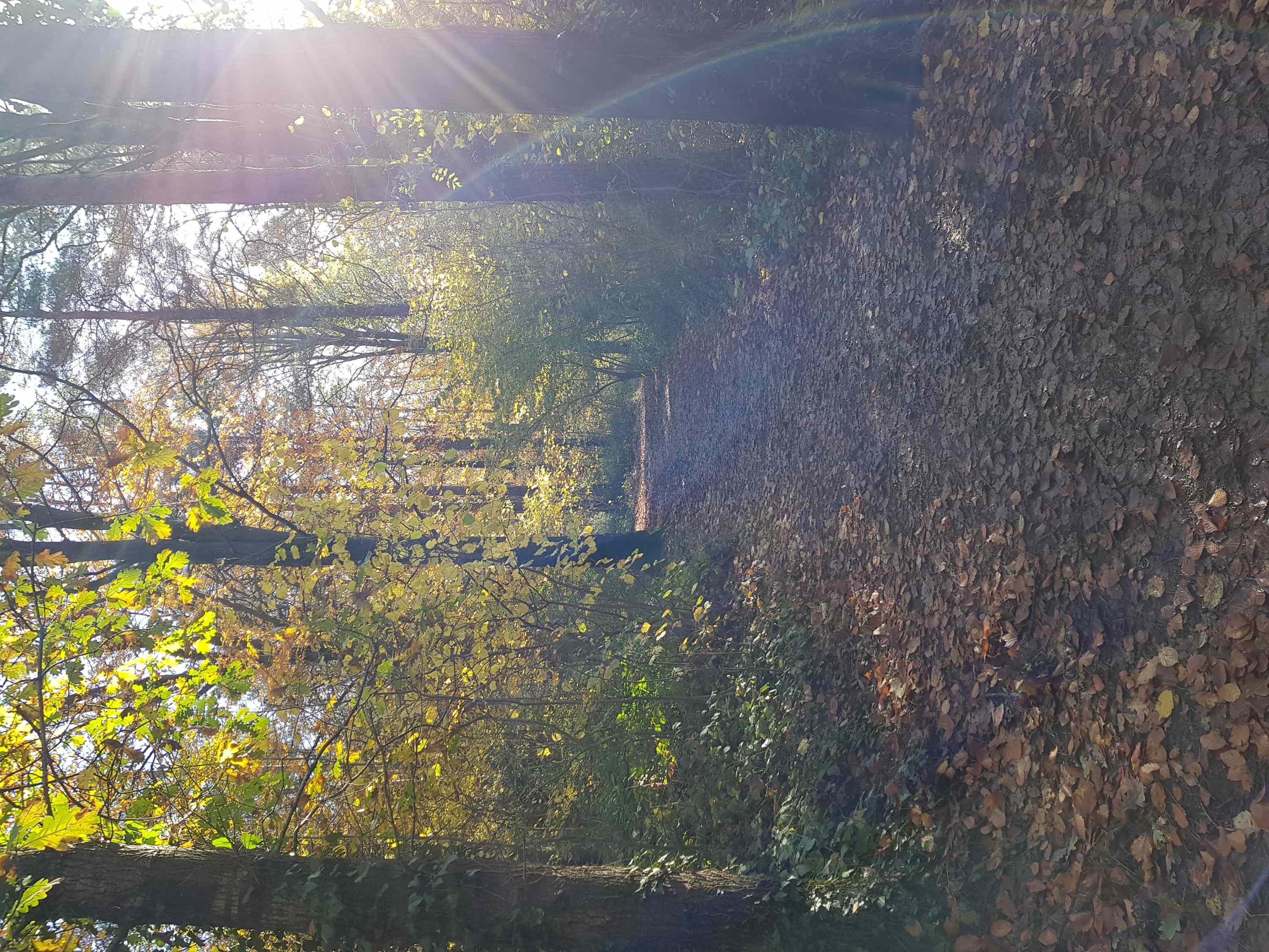 Surrounding countryside